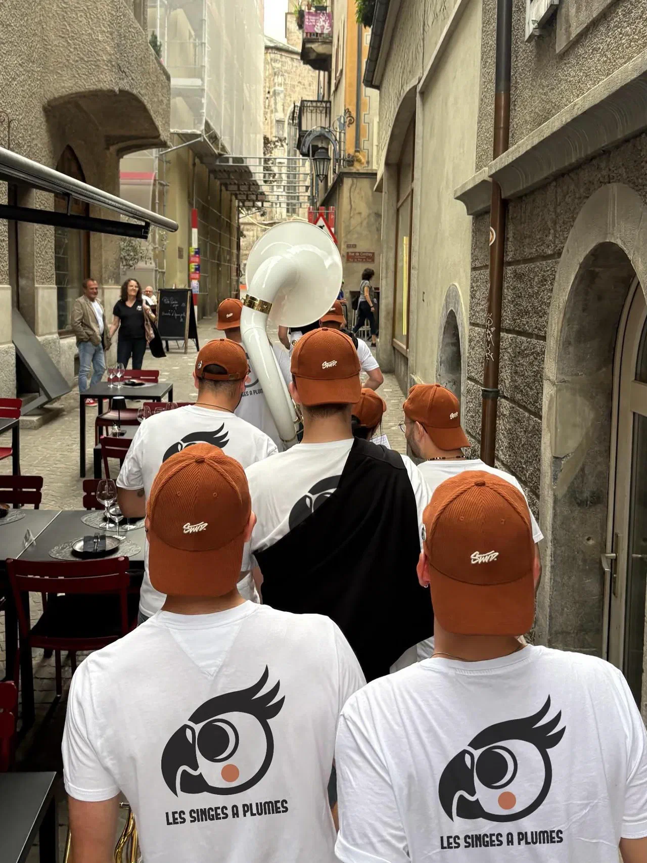 Les singes à plumes